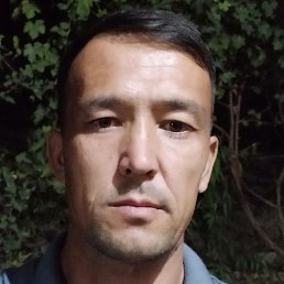 ��������, �������, 42 ����