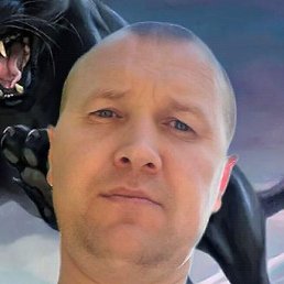 Roman, �����-���������, 43 ����