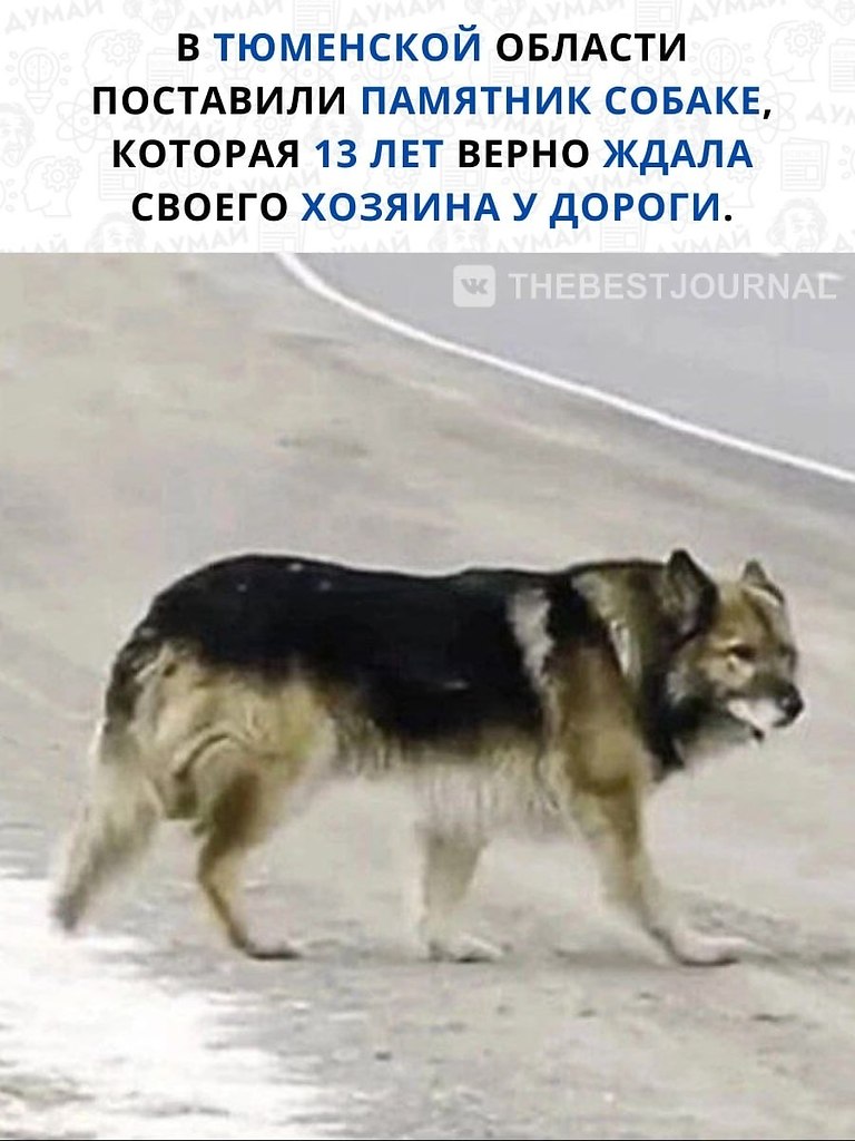  .,          .  ...