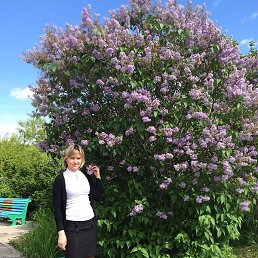 ����, ���������, 46 ���