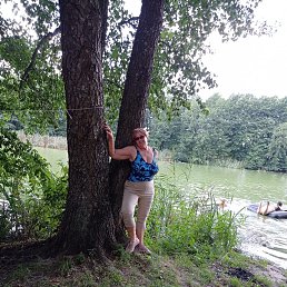 ���� �����, ������, 62 ���� - ��������� 23 �������� 2023