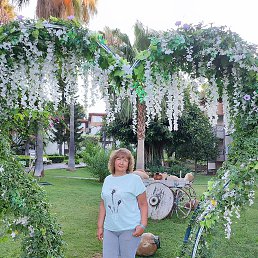 ���� �����, �����������, 62 ���� - ��������� 5 ������� 2023