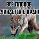 ���� �������, �����, 64 ���� - ��������� 8 ������� 2023 � ������ ���� ����������