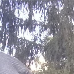 �������, �����-���������, 47 ���