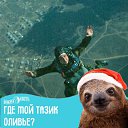 ���� ������, ����, 54 ���� - ��������� 18 ��� 2023