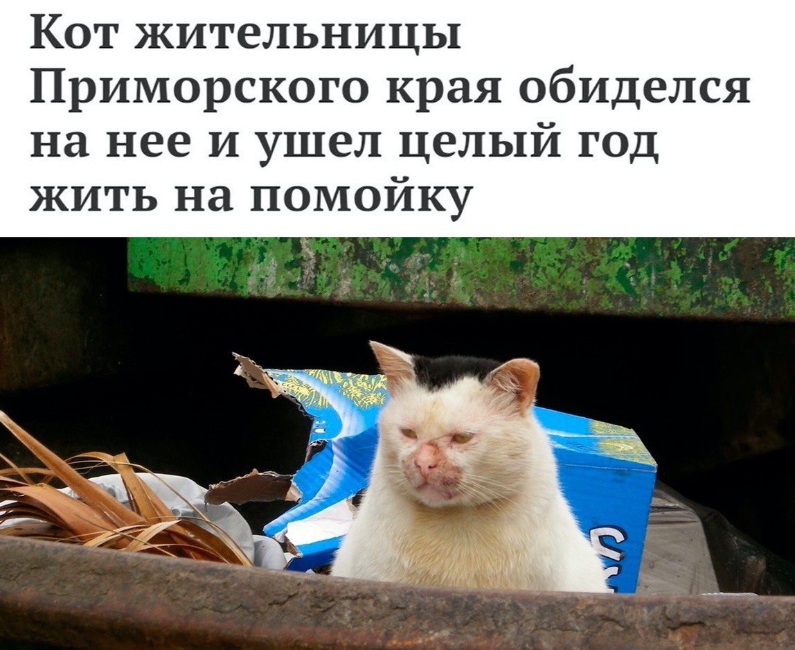    - 25  2023  08:40