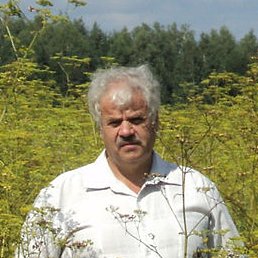 ������, ������, 71 ���