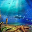 ���� ������, ������, 75 ��� - ��������� 11 ����� 2023