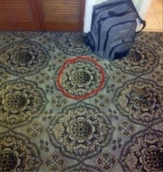 Питомец, которого почти невозможно заметить. Я очень долго не могла понять