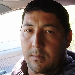 ������, �������, 40 ���