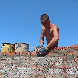 ����, �����������