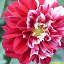 ���� �������, ������, 52 ���� - ��������� 9 ���� 2023 � ������ ���� ����������