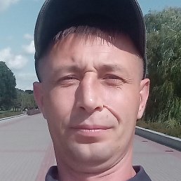 �������, �����, 41 ���