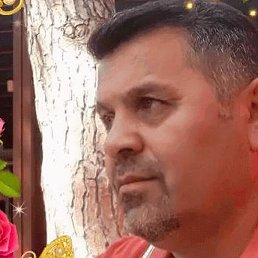 ���, �����-���������, 59 ���