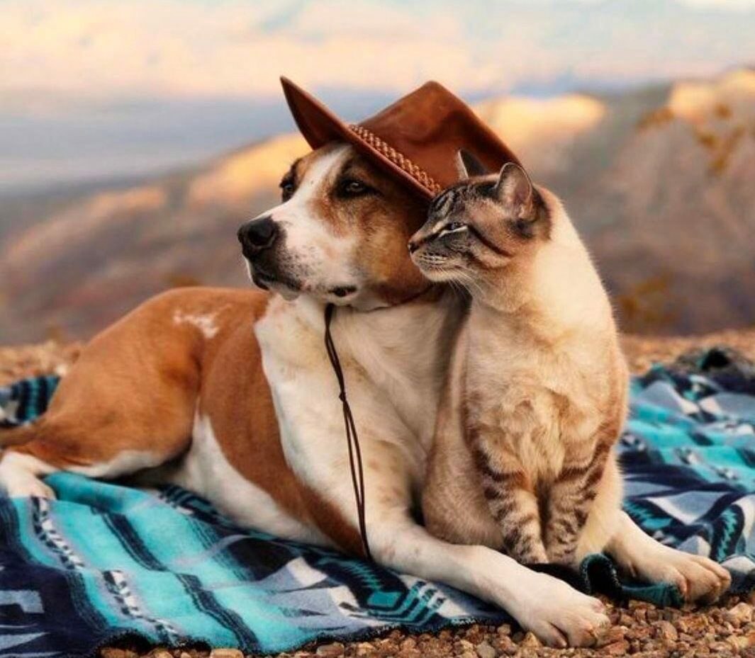 Очень важно найти того, кто смотрит на этот мир так же, как и ты.