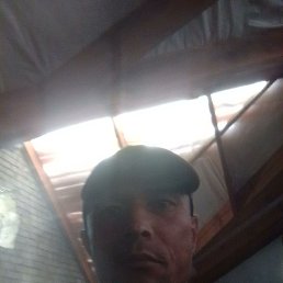 ����, ������, 38 ���