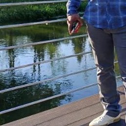 ����, ������, 36 ���