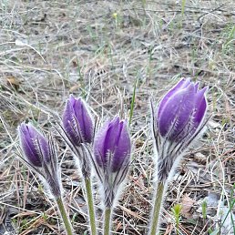 ������, ������, 48 ���