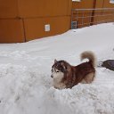 ���� Artem, �����-���������, 42 ���� - ��������� 12 ������� 2023 � ������ ���� ����������