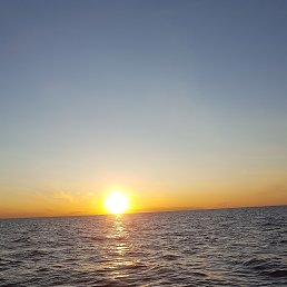 ���� ����, �����-���������, 38 ��� - ��������� 18 ������� 2023