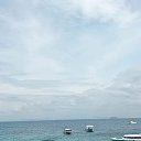 ���� ����, ����������, 48 ��� - ��������� 26 ������� 2023 � ������ ���� ����������