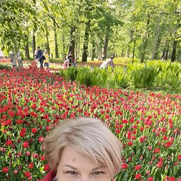 ���� ����, �����-���������, 53 ���� - ��������� 27 ���� 2023