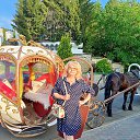 ���� ���, �����������, 62 ���� - ��������� 22 ������� 2023 � ������ ���� ����������