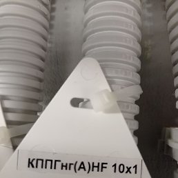 , -, 44 