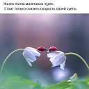 ���� �������, ������, 48 ��� - ��������� 7 ���� 2023 � ������ ������ ��������