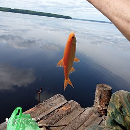 ������, ������������, 34 ����