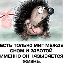���� �������, ������, 48 ��� - ��������� 17 ���� 2023 � ������ ������