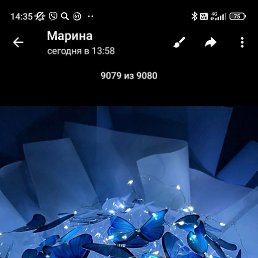 , -, 38 
