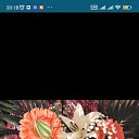���� Maria, �������, 39 ��� - ��������� 2 ������� 2023 � ������ ���� ����������