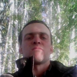 ����, ��������, 37 ���