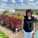 ���� ����, ������, 53 ���� - ��������� 9 ������� 2023 � ������ ���� ����������