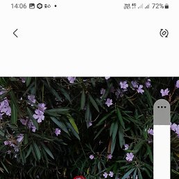 ���� ��������, ������, 60 ��� - ��������� 12 ������� 2023