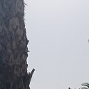 ���� �����, �������� - ��������� 23 ���� 2023 � ������ ���� ����������