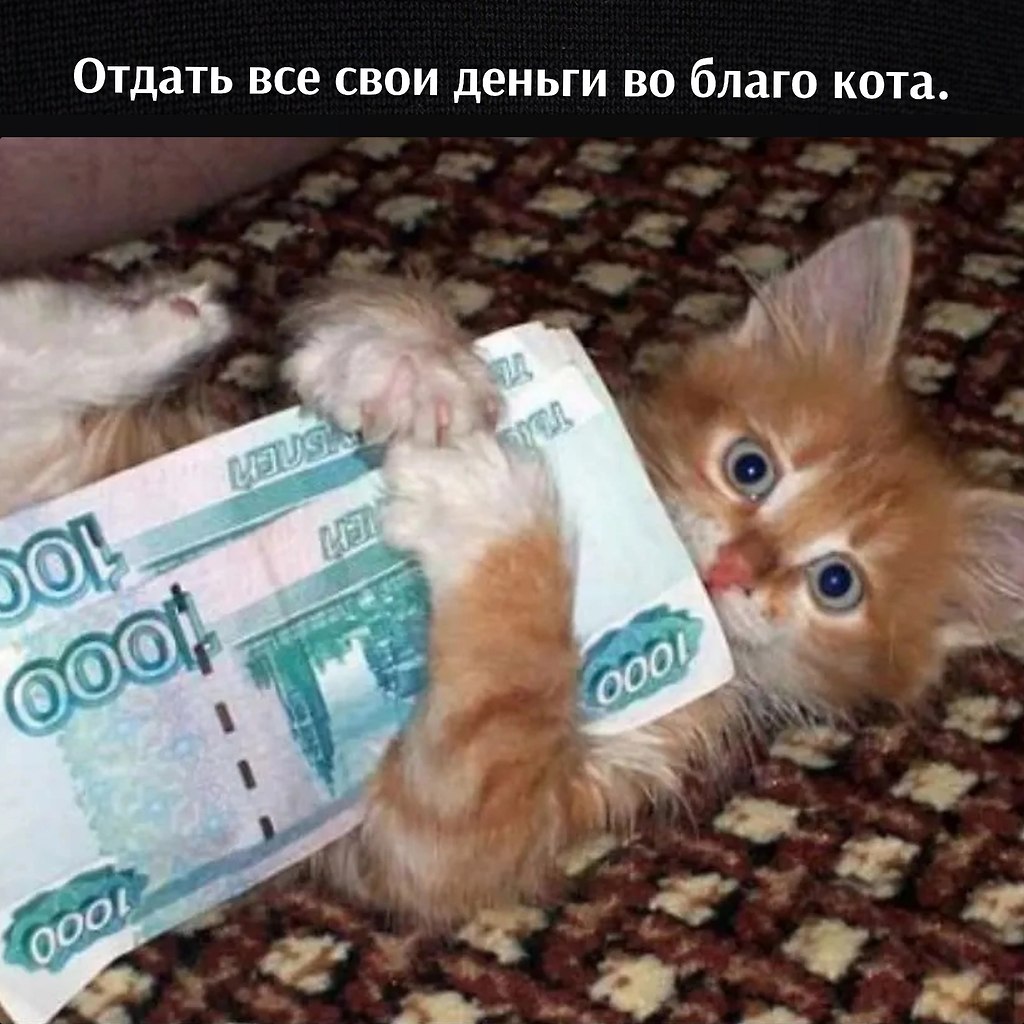      - 22  2023  12:50 - 4