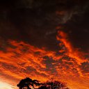 ���� �������, ������, 25 ��� - ��������� 4 �������� 2023 � ������ ���� ����������