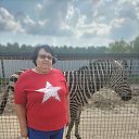 ���� �������, ��������� - ��������� 25 �������� 2023 � ������ ���� ����������