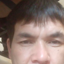 �����, ������, 38 ���