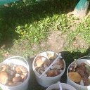 ���� ������, �������, 58 ��� - ��������� 1 ����� 2023