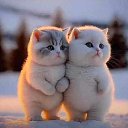 ���� �����, ������, 35 ��� - ��������� 7 ����� 2023