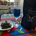 ���� ������, ������, 51 ��� - ��������� 17 ��� 2023 � ������ ������ ��������