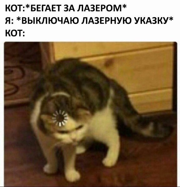    - 27  2023  06:31