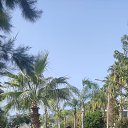 ���� ����, �����������, 54 ���� - ��������� 14 ��� 2023 � ������ ���� ����������