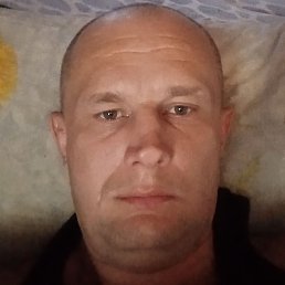 ������, ������, 41 ���