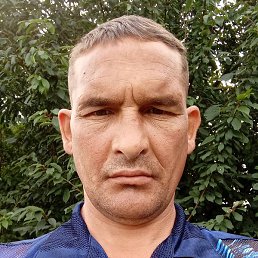 ����, ������������, 44 ����