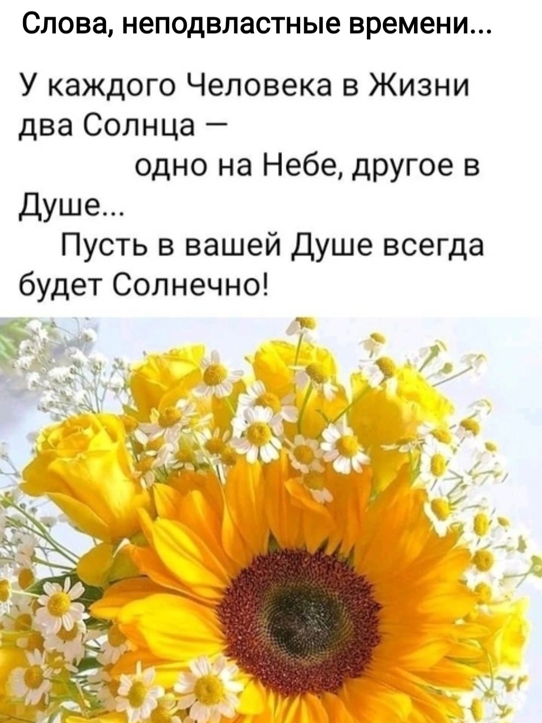 *T* - 15  2023  08:36
