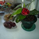 ���� Nadin, �������, 61 ��� - ��������� 5 ������� 2023 � ������ ��������� �������